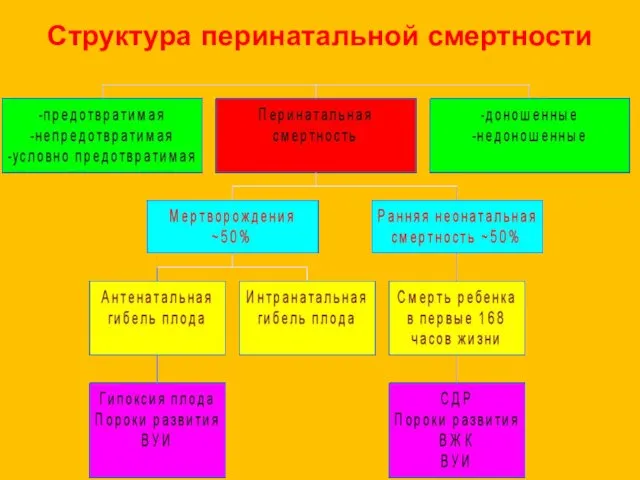 Структура перинатальной смертности