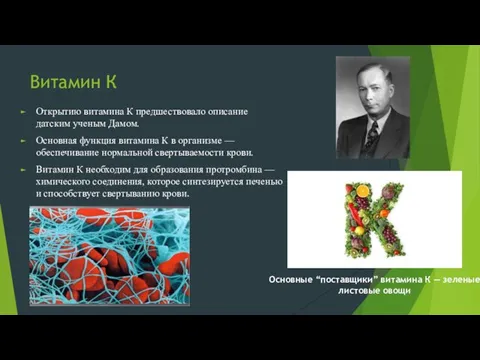 Витамин К Открытию витамина К предшествовало описание датским ученым Дамом. Основная