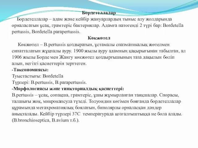 Бордетеллалар Бордетеллалар – адам және кейбір жануарлардың тыныс алу жолдарында орналасатын