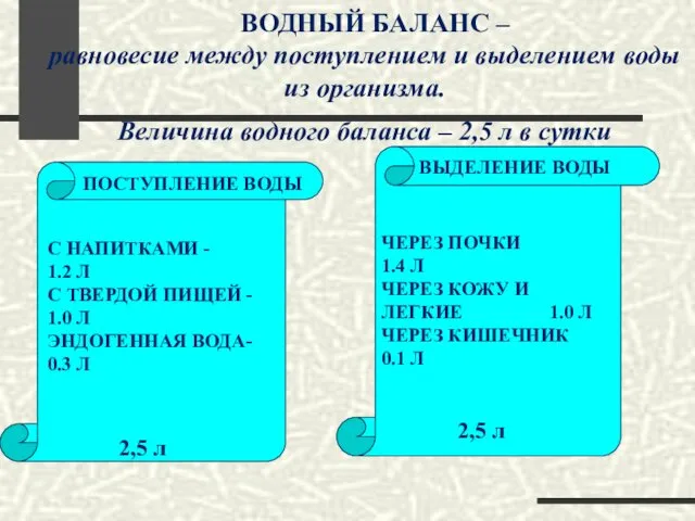 ВОДНЫЙ БАЛАНС – равновесие между поступлением и выделением воды из организма.