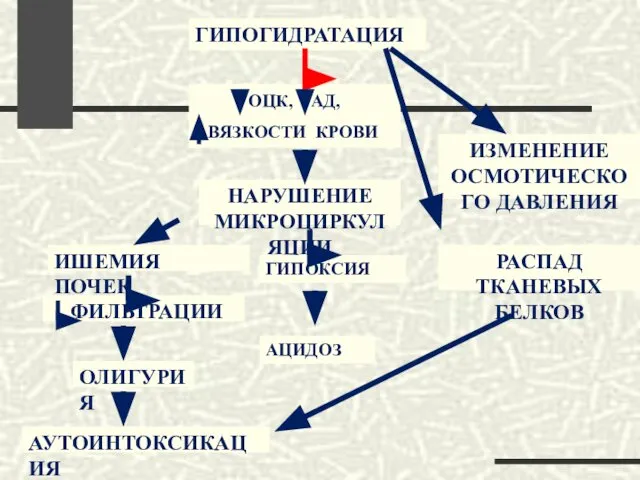 ГИПОГИДРАТАЦИЯ ОЦК, АД, ВЯЗКОСТИ КРОВИ НАРУШЕНИЕ МИКРОЦИРКУЛЯЦИИ ИШЕМИЯ ПОЧЕК ФИЛЬТРАЦИИ ОЛИГУРИЯ