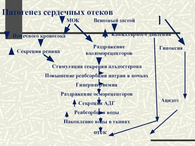 Патогенез сердечных отеков МОК Венозный застой Капиллярного давления Раздражение волюморецепторов Почечного