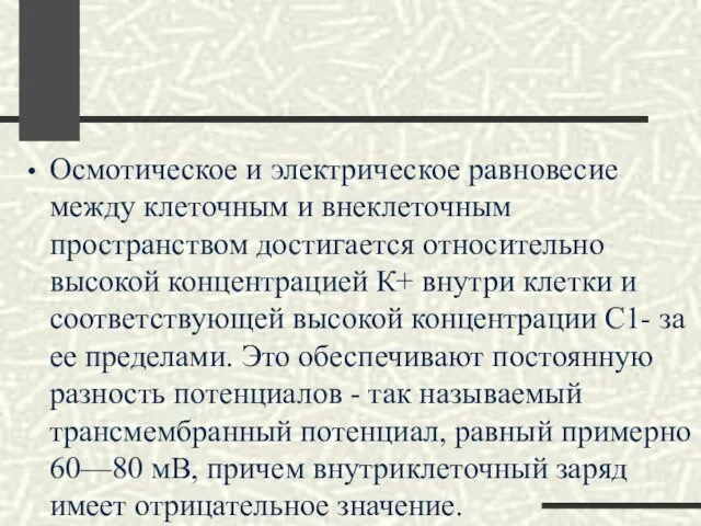 Осмотическое и электрическое равновесие между клеточным и внеклеточным пространством достигается относительно