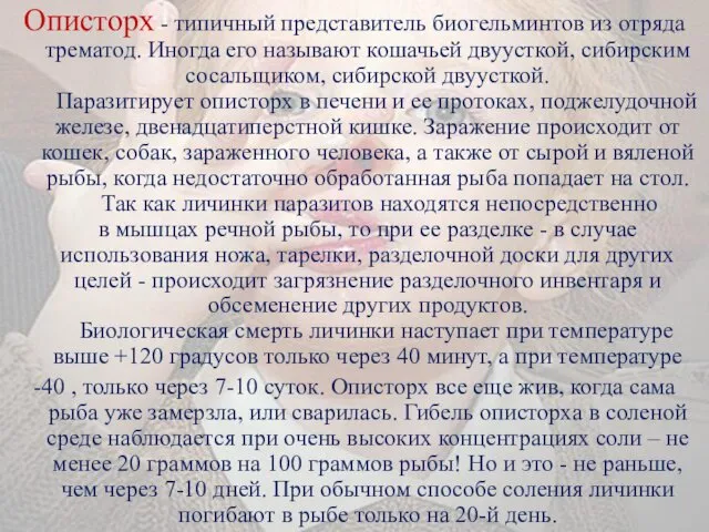 Описторх - типичный представитель биогельминтов из отряда трематод. Иногда его называют