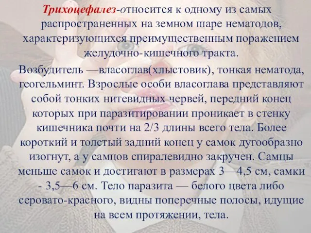 Трихоцефалез-относится к одному из самых распространенных на земном шаре нематодов, характеризующихся