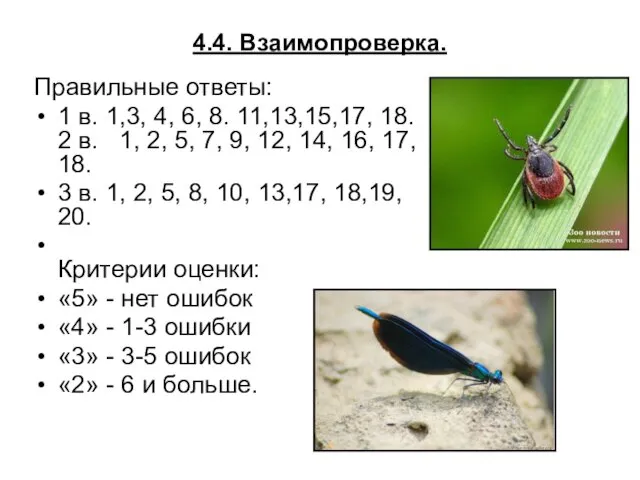 4.4. Взаимопроверка. Правильные ответы: 1 в. 1,3, 4, 6, 8. 11,13,15,17,