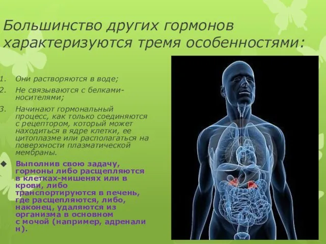 Большинство других гормонов характеризуются тремя особенностями: Они растворяются в воде; Не