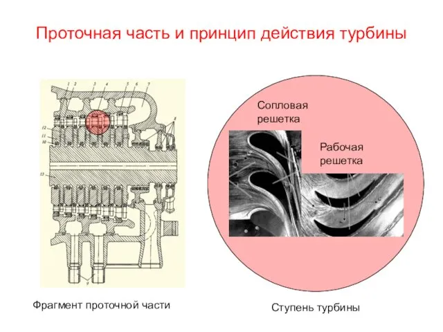 Проточная часть и принцип действия турбины Фрагмент проточной части Ступень турбины Рабочая решетка Сопловая решетка