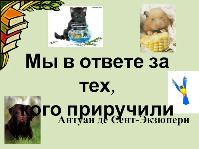 Мы в ответе за тех, кого приручили Антуан де Сент-Экзюпери