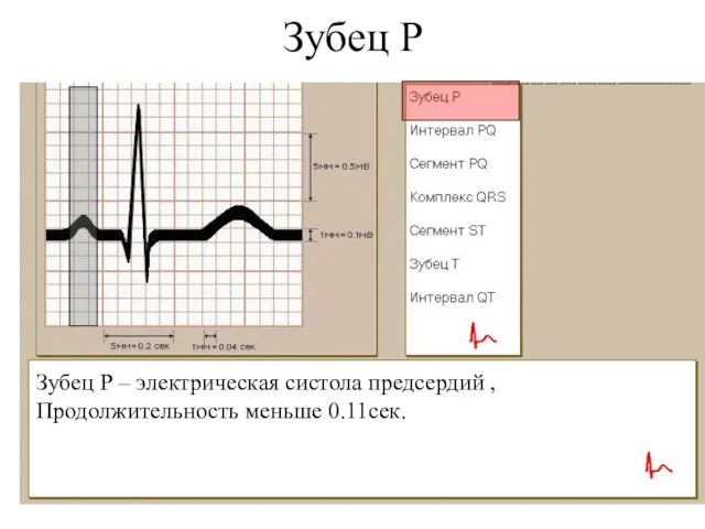 Зубец Р Зубец Р – электрическая систола предсердий , Продолжительность меньше 0.11сек.