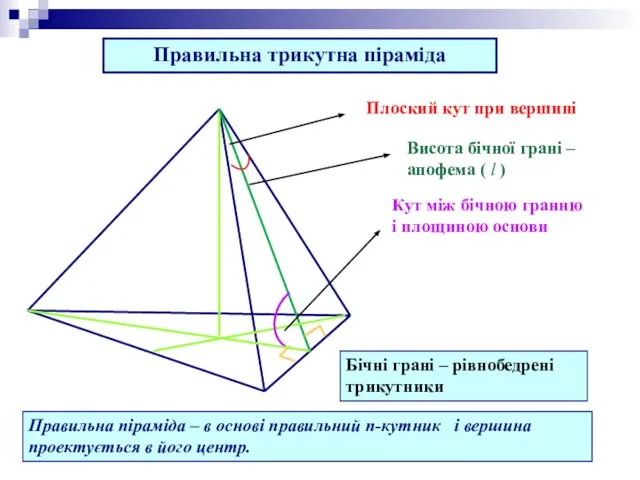 Правильна трикутна піраміда Висота бічної грані – апофема ( l )