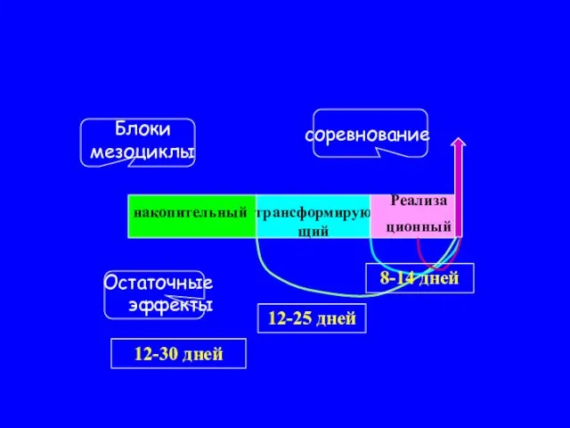 накопительный трансформирующий Реализа ционный Остаточные эффекты соревнование Блоки мезоциклы 12-30 дней 12-25 дней 8-14 дней