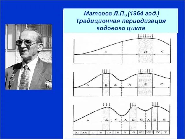 Матвеев Л.П.,(1964 год.) Традиционная периодизация годового цикла