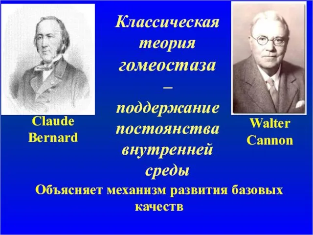 Claude Bernard Walter Cannon Классическая теория гомеостаза – поддержание постоянства внутренней