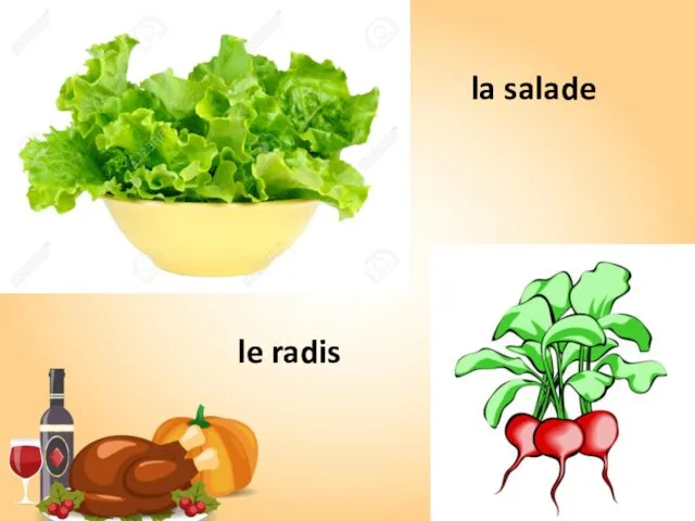 la salade le radis