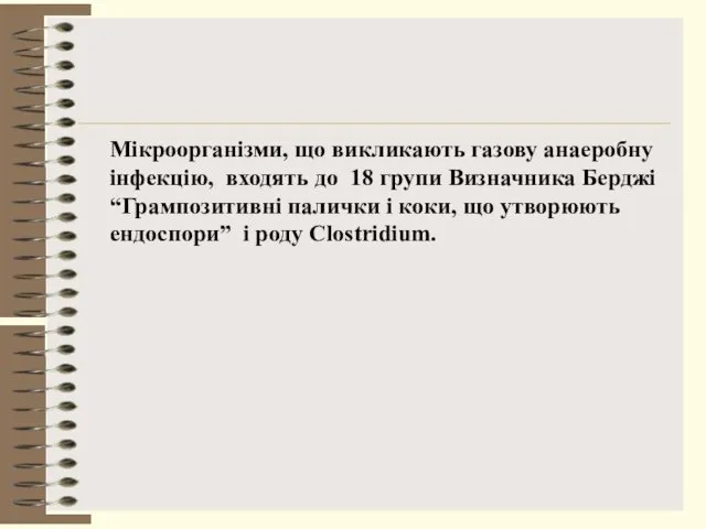 Мікроорганізми, що викликають газову анаеробну інфекцію, входять до 18 групи Визначника