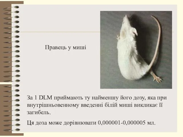 Правець у миші За 1 DLM приймають ту найменшу його дозу,