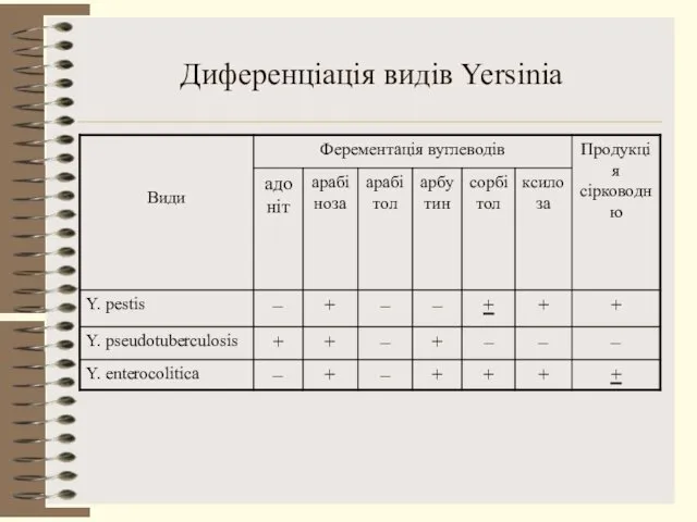 Диференціація видів Yersinia