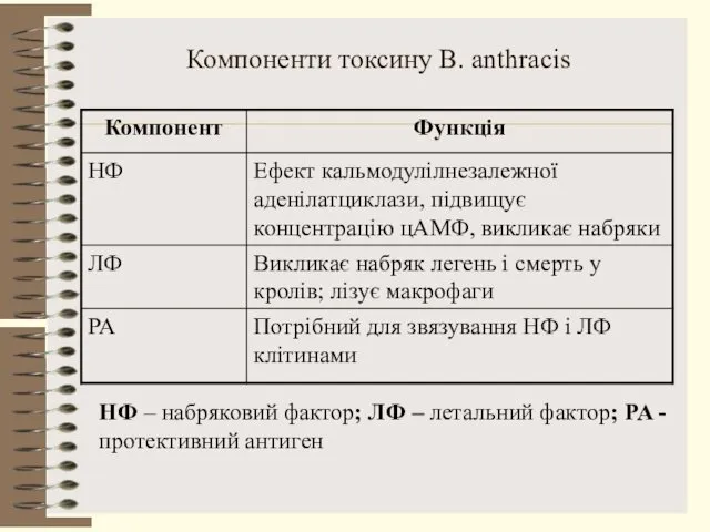 Компоненти токсину B. anthracis НФ – набряковий фактор; ЛФ – летальний фактор; PA - протективний антиген