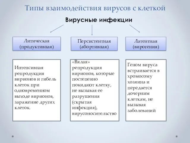 Типы взаимодействия вирусов с клеткой Вирусные инфекции Литическая (продуктивная) Персистентная (абортивная)