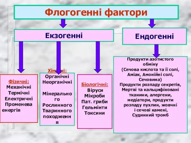 Флогогенні фактори Екзогенні Фізичні: Механічні Термічні Електричні Променева енергія тиску Хімічні: