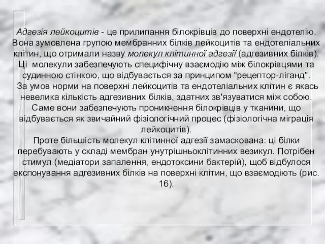 Адгезія лейкоцитів - це прилипання білокрівців до поверхні ендотелію. Вона зумовлена