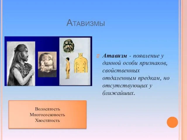 Атавизмы Атавизм - появление у данной особи признаков, свойственных отдаленным предкам,