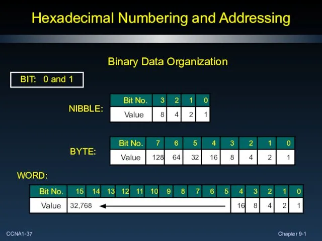 Hexadecimal Numbering and Addressing BIT: 0 and 1 NIBBLE: BYTE: WORD: Binary Data Organization