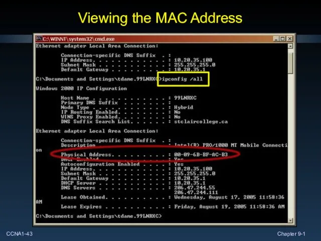 Viewing the MAC Address