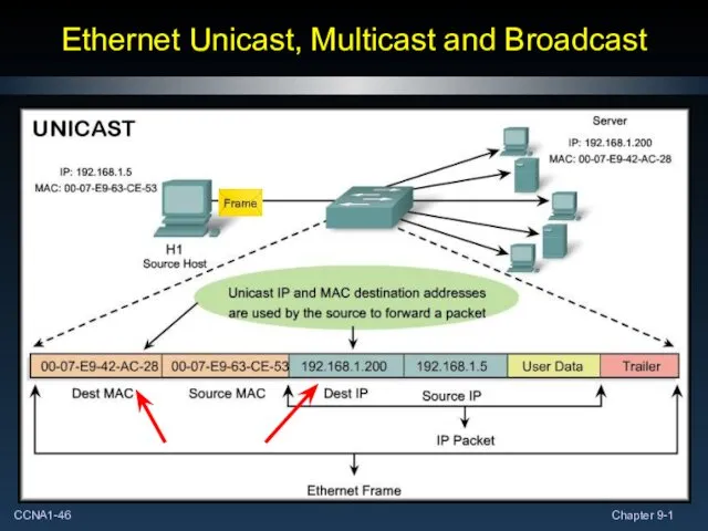 Ethernet Unicast, Multicast and Broadcast