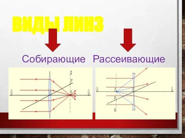 ВИДЫ ЛИНЗ Собирающие Рассеивающие