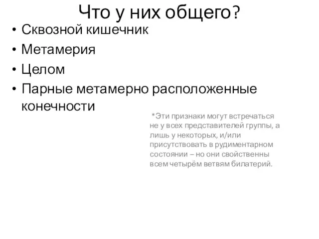 Что у них общего? Сквозной кишечник Метамерия Целом Парные метамерно расположенные