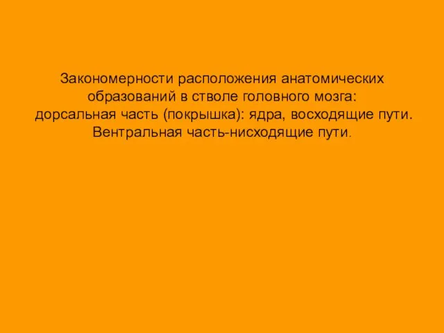 Закономерности расположения анатомических образований в стволе головного мозга: дорсальная часть (покрышка):