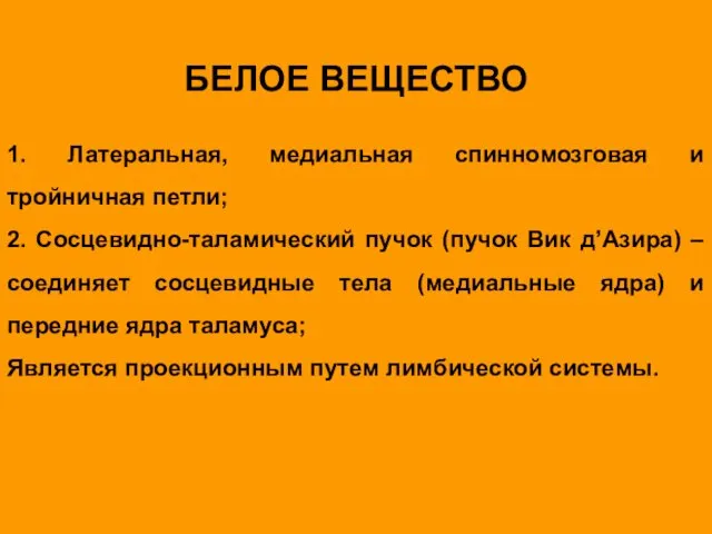 БЕЛОЕ ВЕЩЕСТВО 1. Латеральная, медиальная спинномозговая и тройничная петли; 2. Сосцевидно-таламический