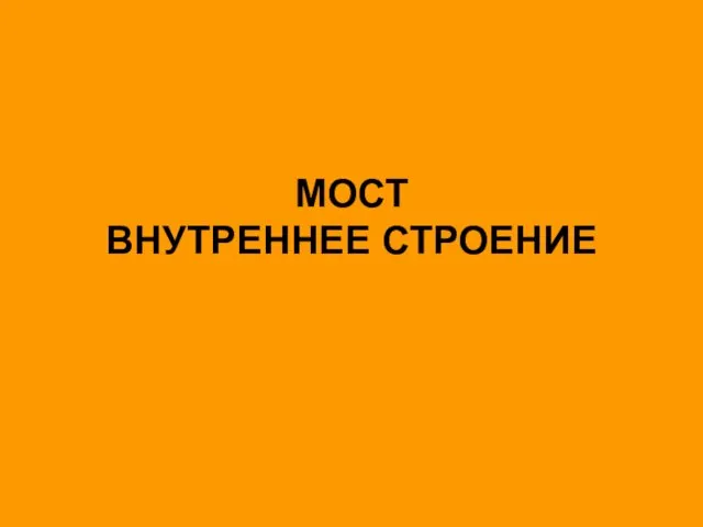 МОСТ ВНУТРЕННЕЕ СТРОЕНИЕ