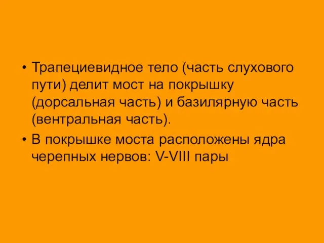 Трапециевидное тело (часть слухового пути) делит мост на покрышку (дорсальная часть)