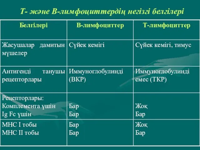 Т- және В-лимфоциттердің негізгі белгілері