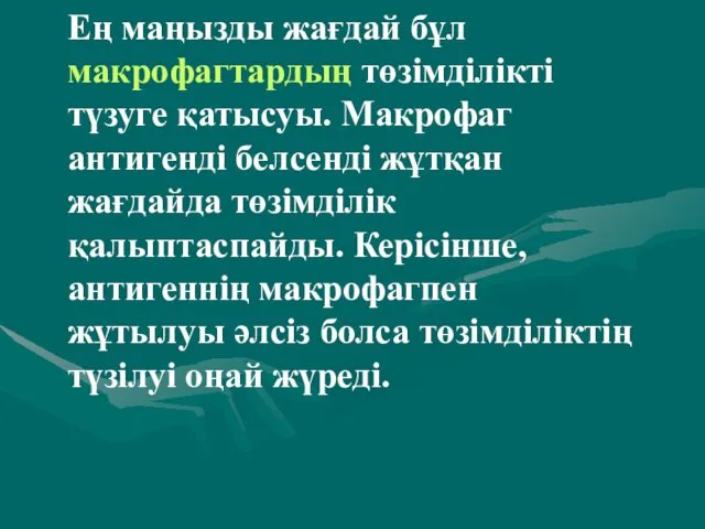 Ең маңызды жағдай бұл макрофагтардың төзімділікті түзуге қатысуы. Макрофаг антигенді белсенді