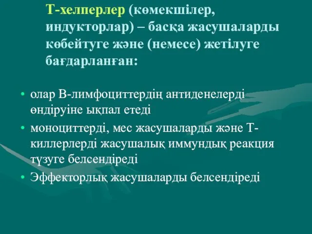 Т-хелперлер (көмекшілер, индукторлар) – басқа жасушаларды көбейтуге және (немесе) жетілуге бағдарланған: