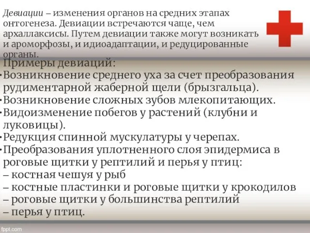 Примеры девиаций: Возникновение среднего уха за счет преобразования рудиментарной жаберной щели