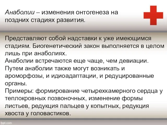 Представляют собой надставки к уже имеющимся стадиям. Биогенетический закон выполняется в