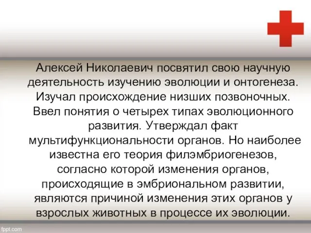 Алексей Николаевич посвятил свою научную деятельность изучению эволюции и онтогенеза. Изучал