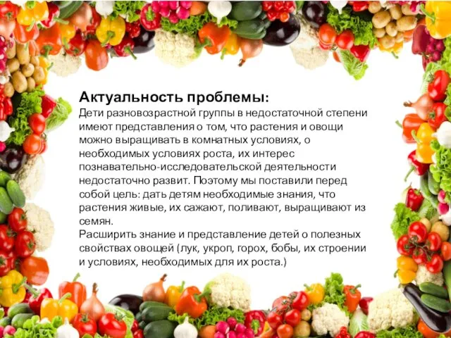 Актуальность проблемы: Дети разновозрастной группы в недостаточной степени имеют представления о