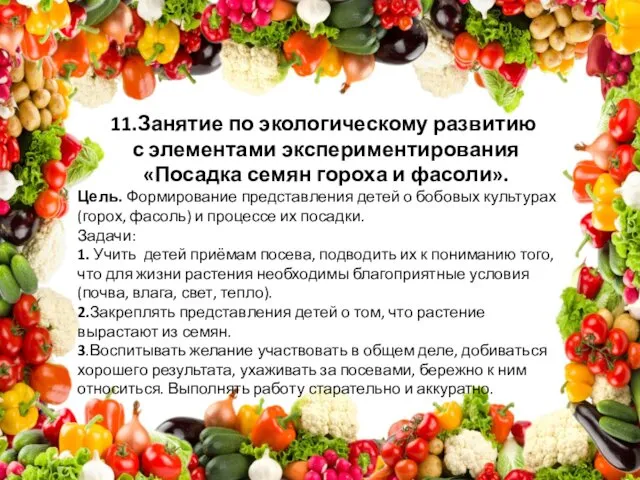 11.Занятие по экологическому развитию с элементами экспериментирования «Посадка семян гороха и