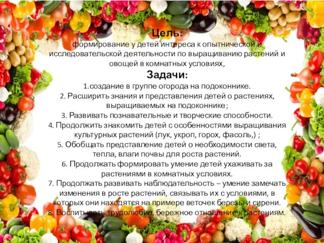 Цель: формирование у детей интереса к опытнической и исследовательской деятельности по