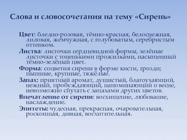 Слова и словосочетания на тему «Сирень» Цвет: бледно-розовая, тёмно-красная, белоснежная, лиловая,