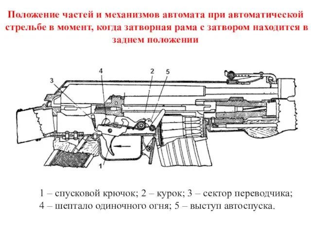 Положение частей и механизмов автомата при автоматической стрельбе в момент, когда