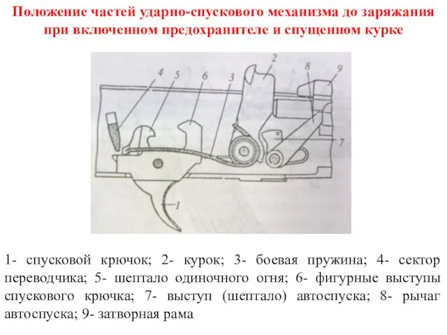 Положение частей ударно-спускового механизма до заряжания при включенном предохранителе и спущенном