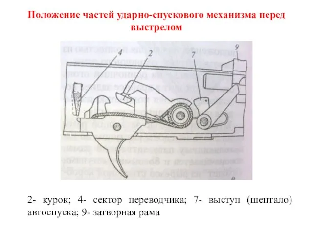 Положение частей ударно-спускового механизма перед выстрелом 2- курок; 4- сектор переводчика;