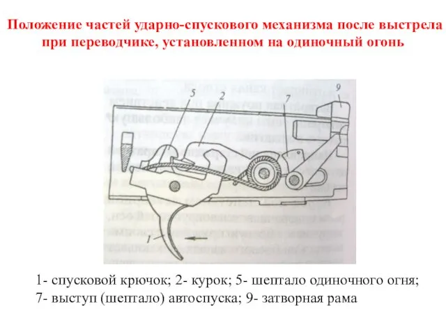 Положение частей ударно-спускового механизма после выстрела при переводчике, установленном на одиночный